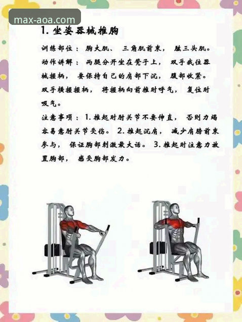 AOA体育功能详解：从入门到精通的完整使用指南